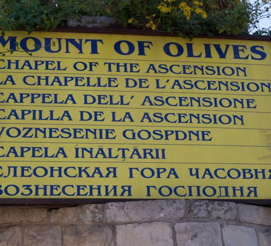 mount olives