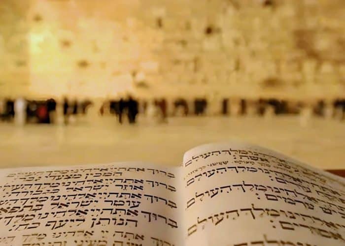 Torah at western wall jerusalem holy land pilgrimage