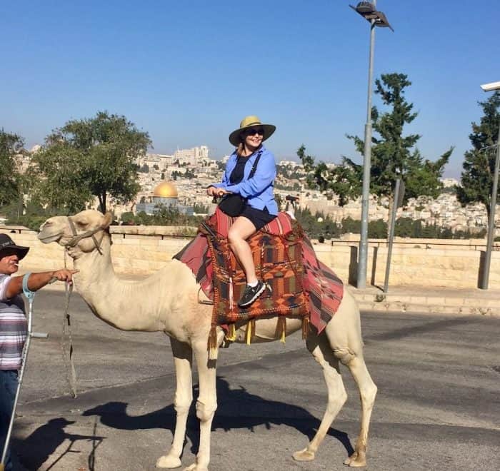 Camel in Jerusalem holy land pilgrimage