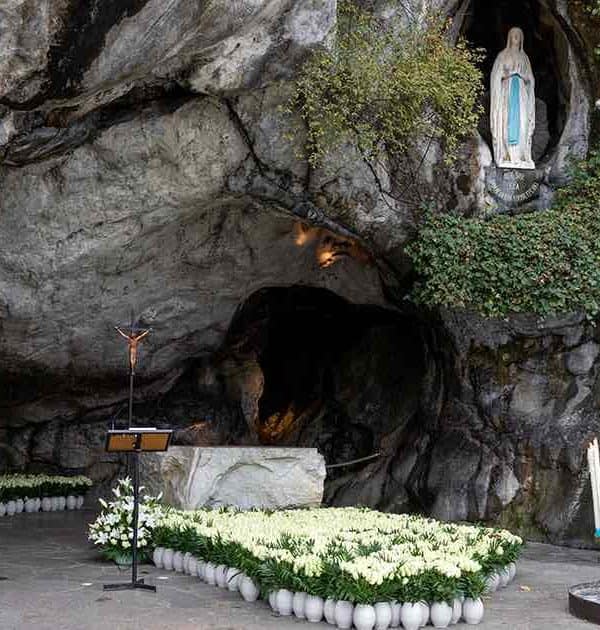 lourdes grotto with white roses flowers pilgrimage tour
