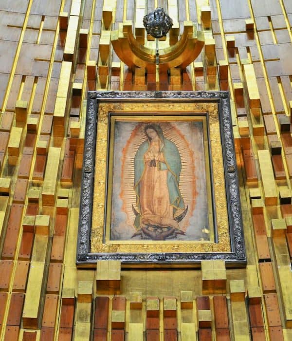 Guadalupe Tilma pilgrimage tour