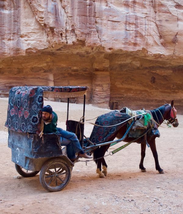 Petra-carriage