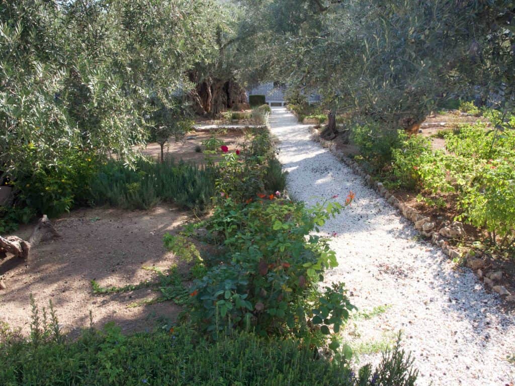 garden of olives Holy Land Jerusalem pilgrimage tour