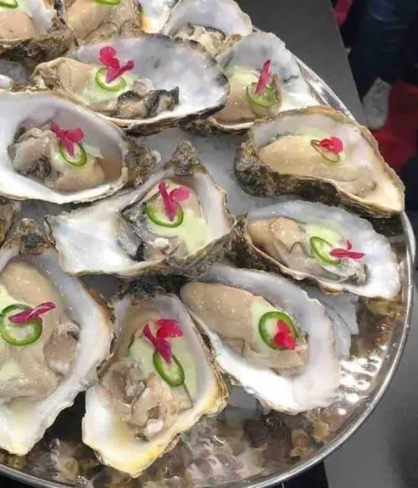 oysters madrid food spain pilgrimage tour