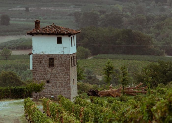 kir yianni winery tower greece